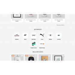 example of the display of the brands slider module on the Prestashop homepage without slider