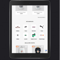 example of the display of the brands slider module on the Prestashop homepage without a tablet slider