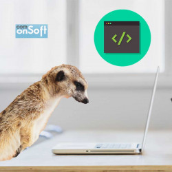Développement sur mesure Prestashop