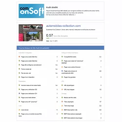 Example of a detailed SEO report